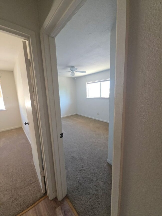 Photo - 3564 Sapphire Dr Unit 4