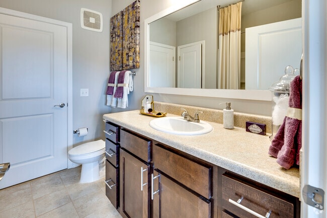 1BR, 1BA - 870SF - Bathroom - York Woods at Lake Murray Apartment Homes