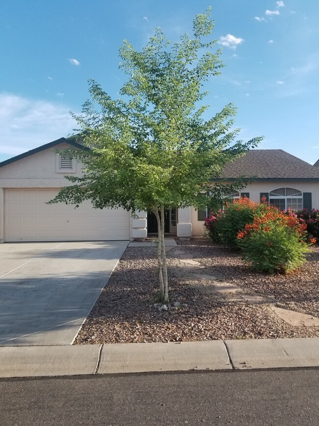 Fantastic 3 bedroom Home in Queen Creek! - Fantastic 3 bedroom Home in Queen Creek!