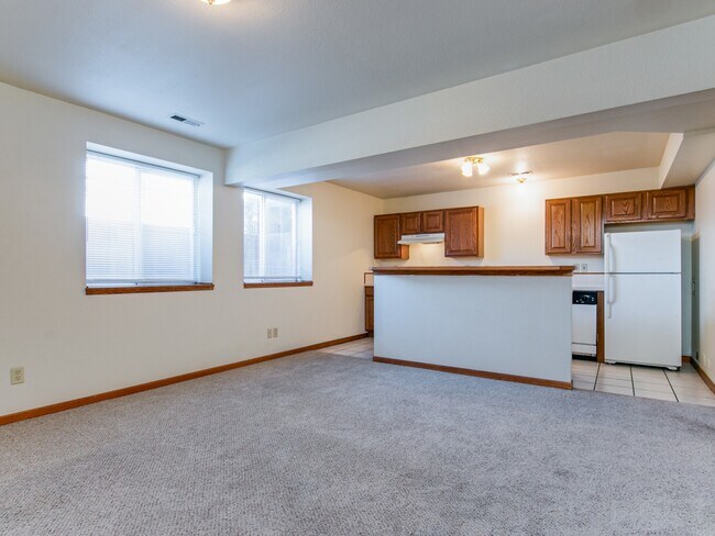 Lower Level Living Room and Kitchen