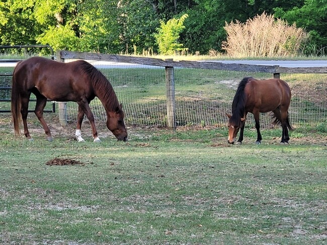 Photo - 331 Glenwood Dr