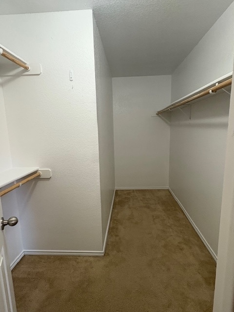 Photo - 307 Aries Dr