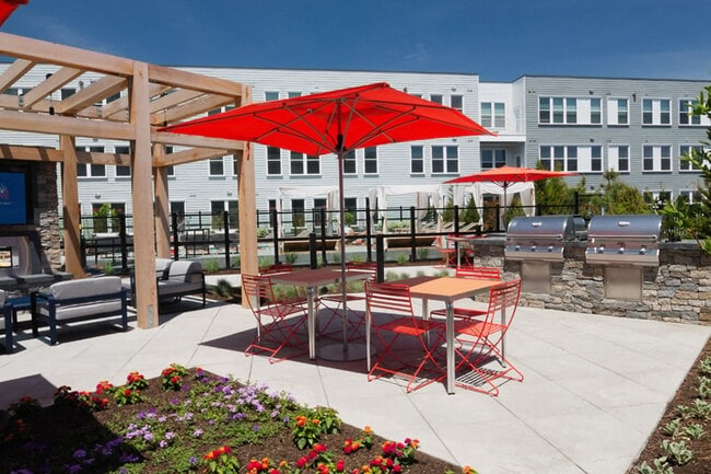 Photo - The Mastlight