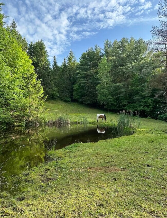 Photo - 214 Foster Rd