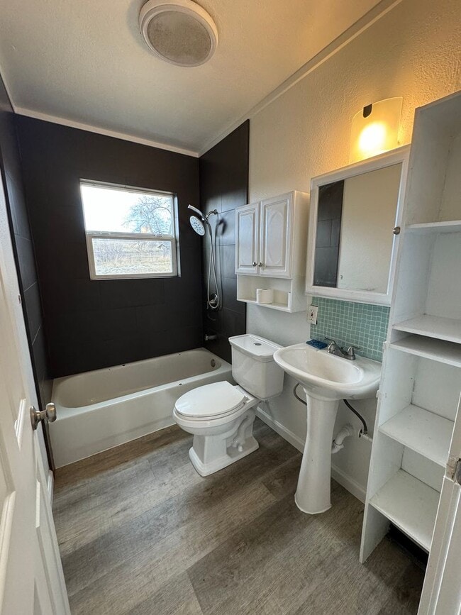 Photo - 2 Bed 1 Bath with Large Yard