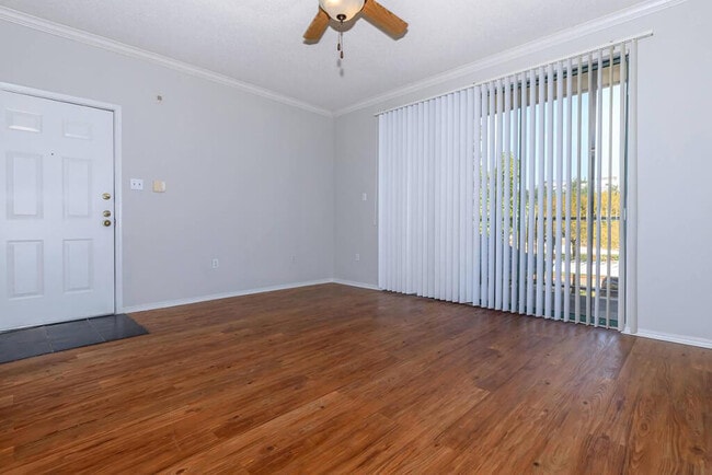 Living Room Area