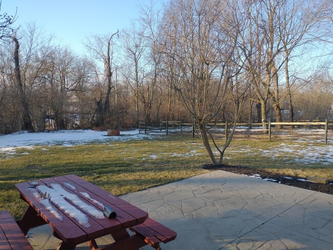 Back Yard - 1445 Urlage Dr