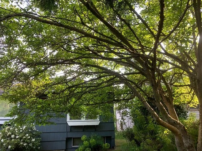 Photo - 4721 University View Pl NE