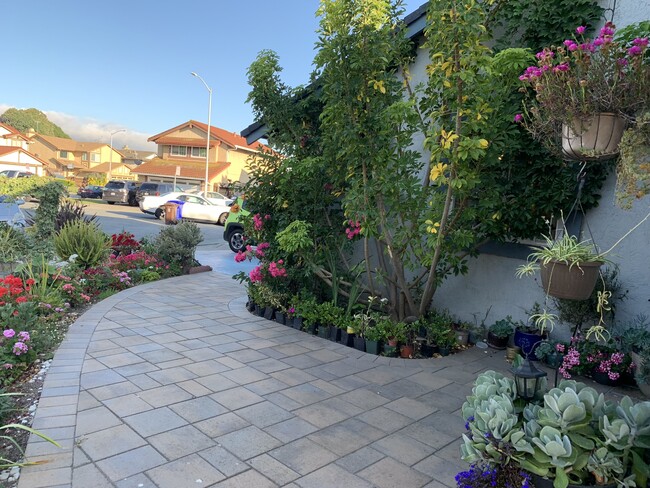 Front - 3137 Larchmont Ln