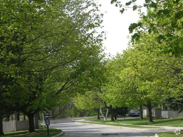 Forest View Apartments - Forest View Apartments