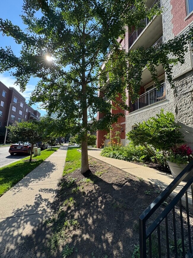 1670 Mill St Unit 303