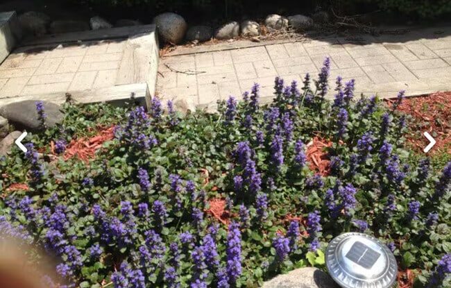 Photo - 26 Rochester St Unit 26B#1