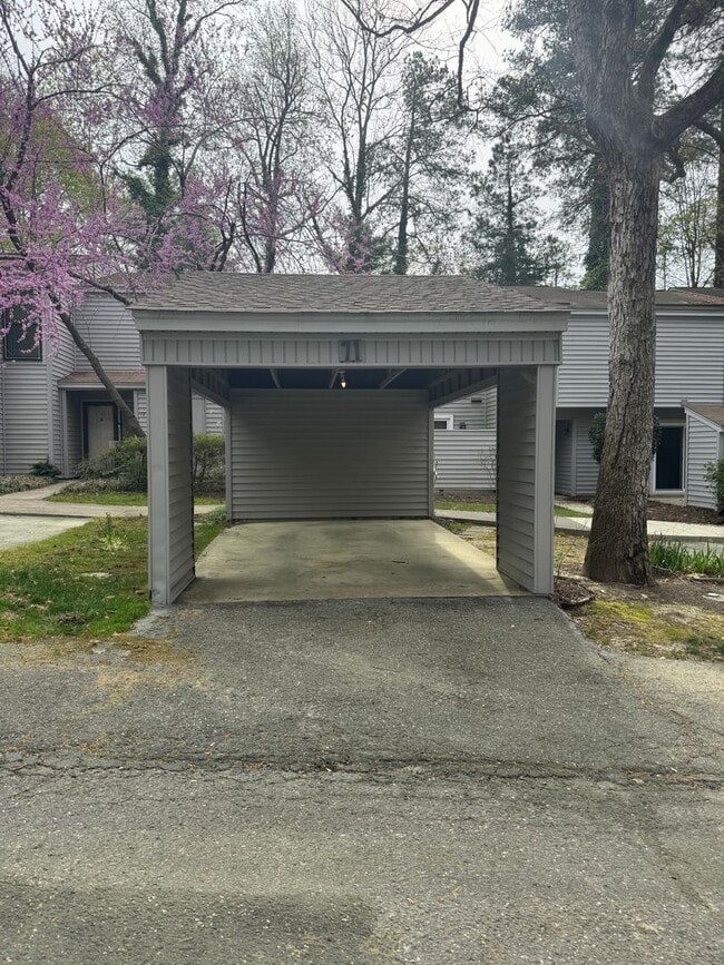 Photo - SEASONS TRACE