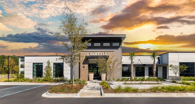 Camellia at One Nexton apartments — community photo