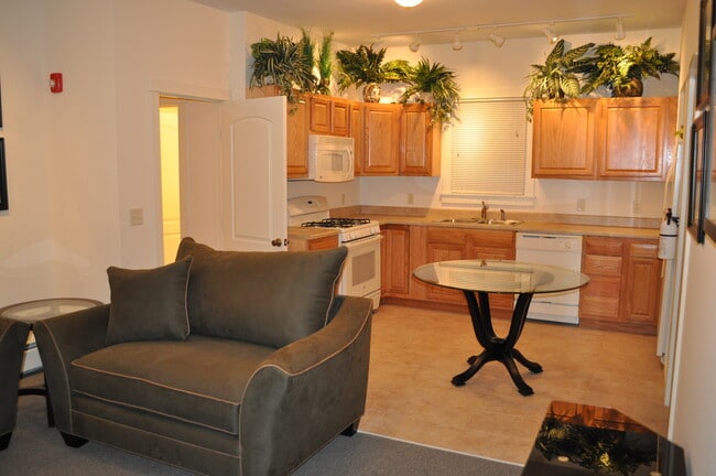 Photo - 203 Williams St