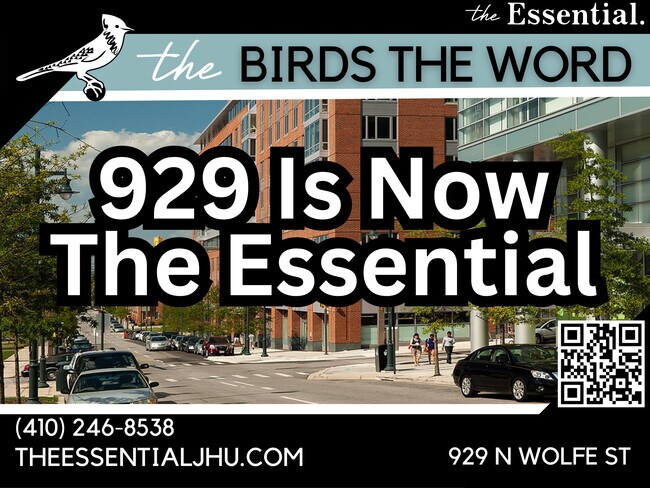 The Essential