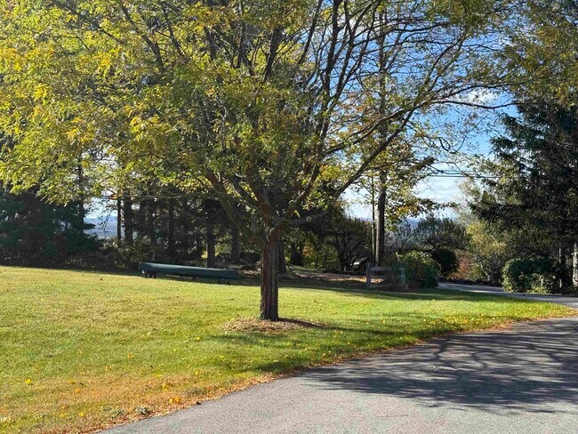 Photo - 69 Putney Hill Rd