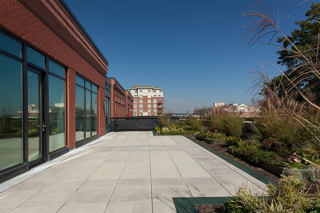Large landscaped terraces with city views available