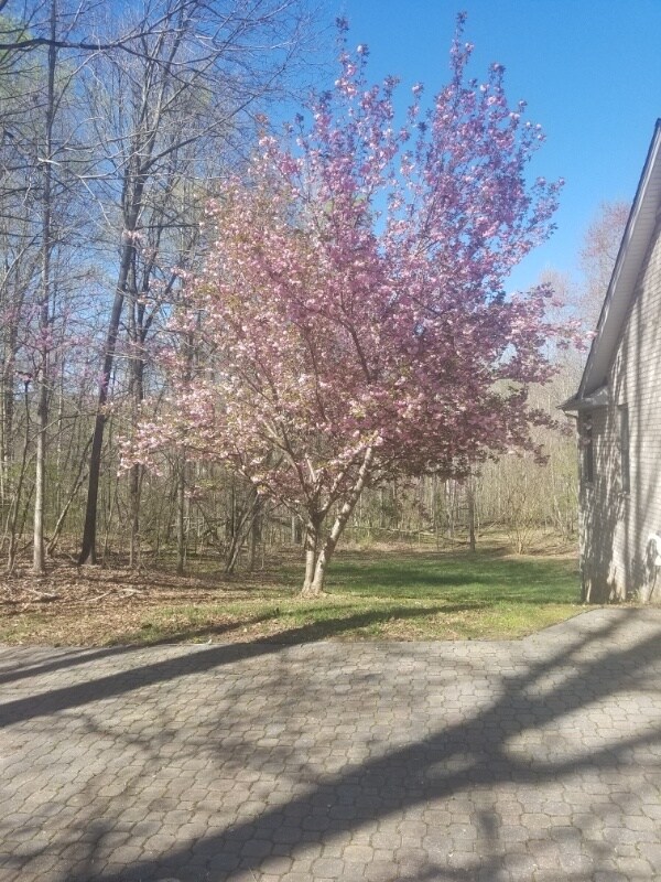 Photo - 601 Indian Trail Rd