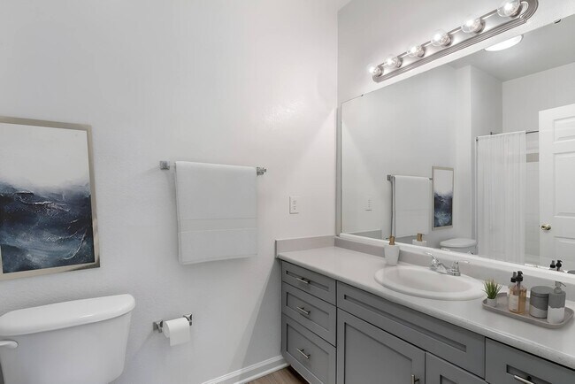 Spotswood Commons Apartments