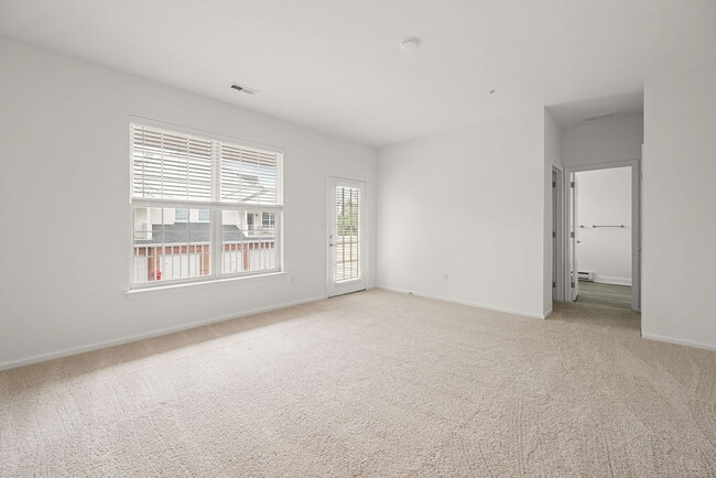 Photo - Jacobs Woods