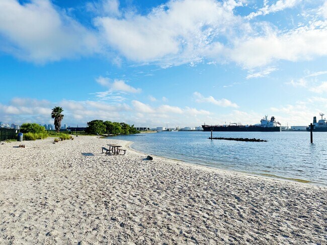 Take your dog to the beach access dog park!