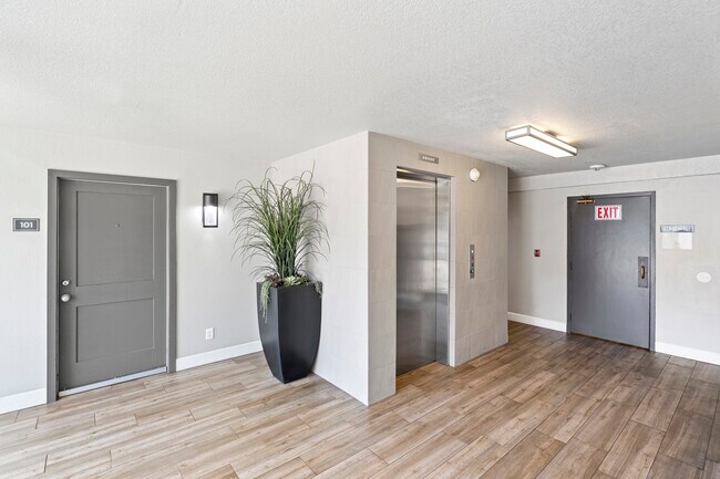 Photo - New Orleans Apartamentos Unidad 305