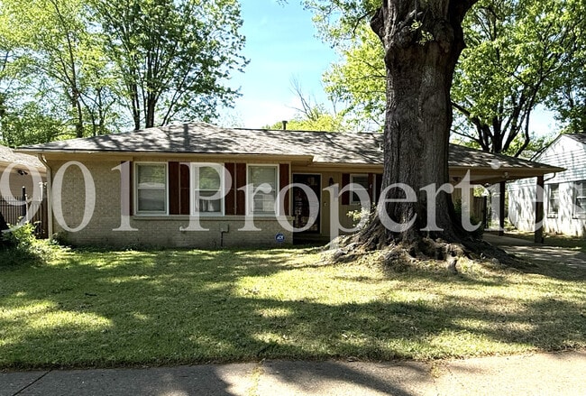 Building Photo - 1533 Cranford Rd