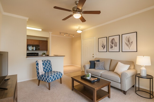 Photo - Northside on Travis