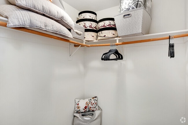 2BR, 2BA - 889SF - 1st Bedroom Closet