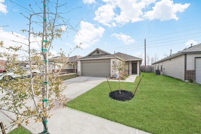 Photo - 10726 Lavender Cotton Ln