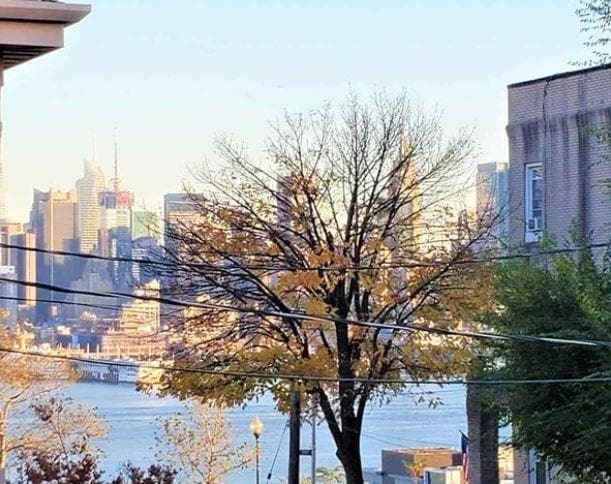 Photo - 6 50th St Unit 3