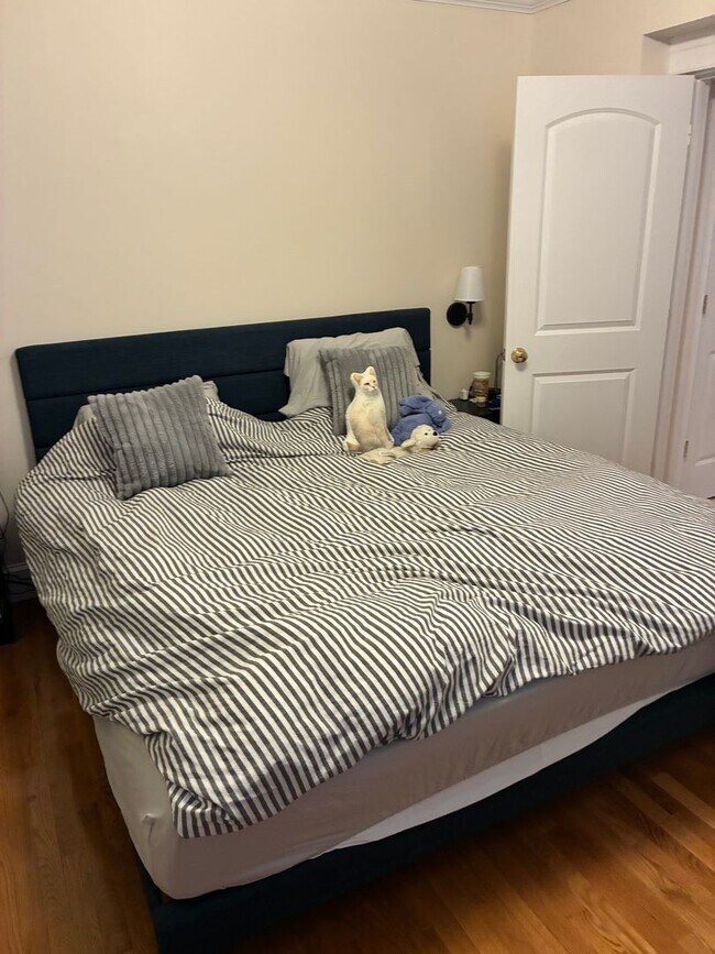 Photo - Bright 1 Bedroom in Allston • Amazing Price • Available 2/1/2026