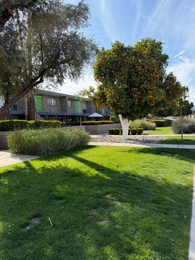 Photo - Modern Vintage in Old Town