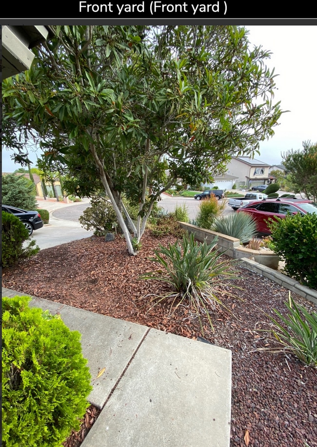 Photo - Rancho San Diego sunsets by the pool!