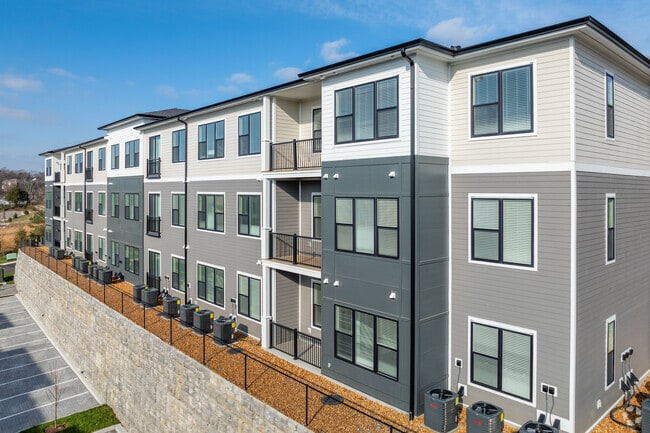 The Anderson - The Anderson