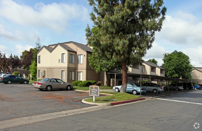 Photo - The Renaissance