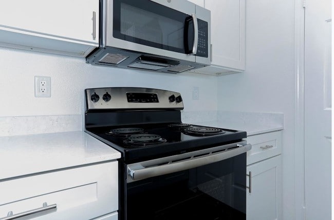 Photo - Big Horn at Black Mountain