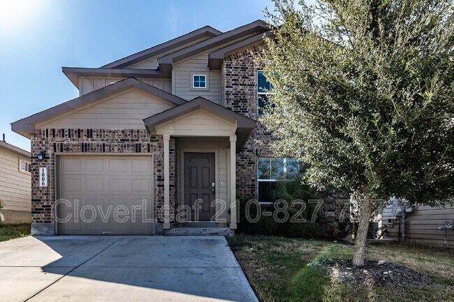 1006 Western Whipbird