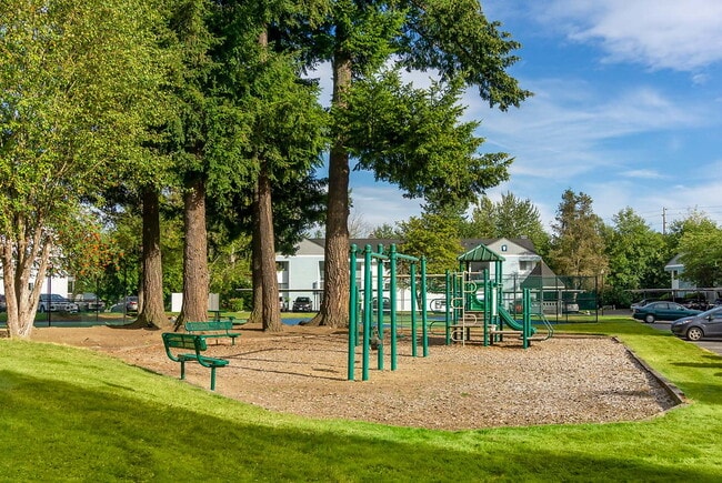 Photo - Wandering Creek