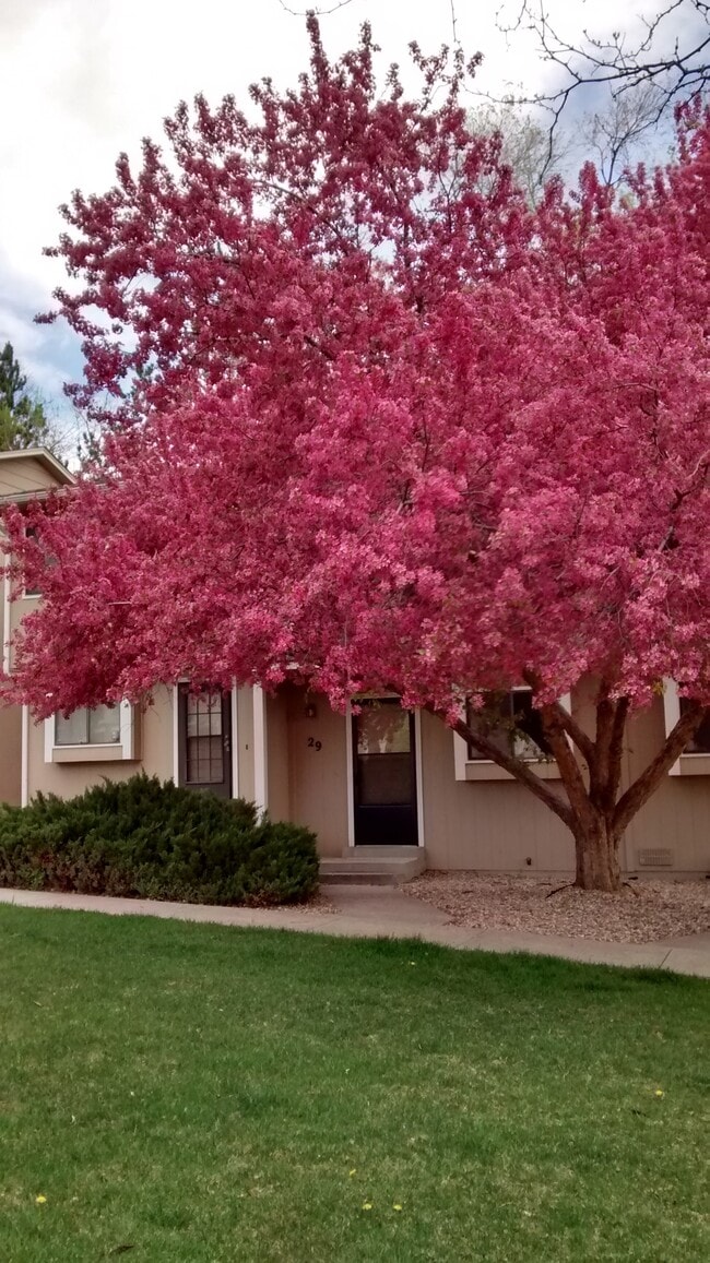 Casa adosada tranquila en excelente vecindario - 1440 Edora Rd