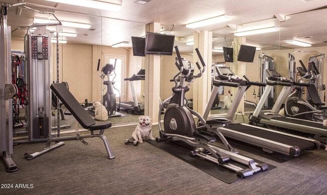 Photo - 8450 N 67th Ave Unit 1