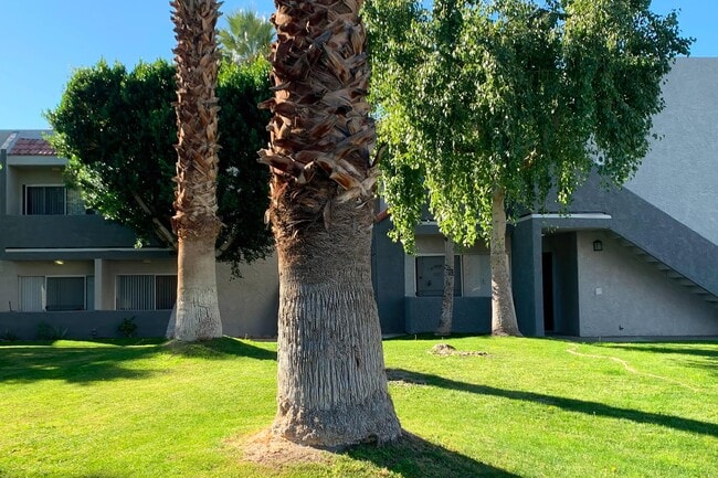 Palm Springs View Apartments