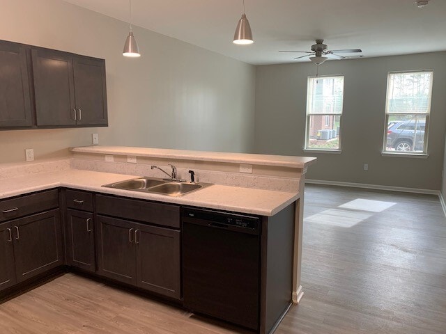 Photo - Olii Place Apartments