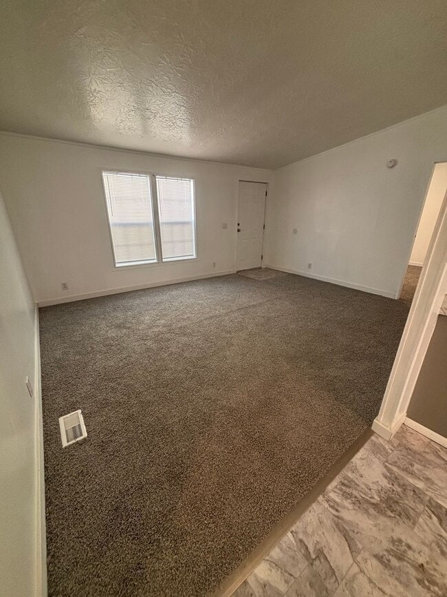 Photo - 301 Archie St