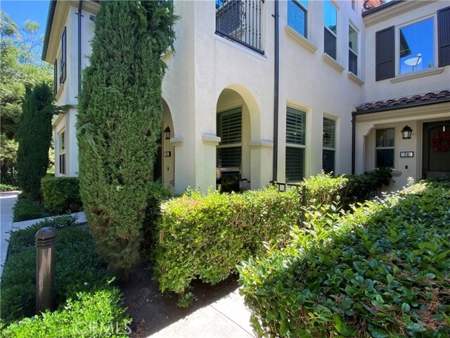 Photo - 52 Rose Arch