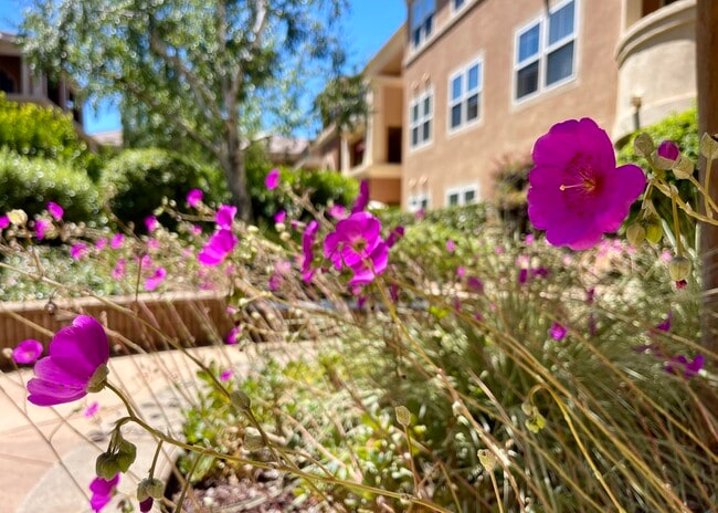 Photo - 1390 Saddle Rack St Unit 245