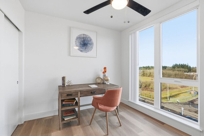 Ceiling Fans