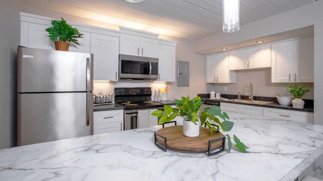 Discover sleek, stainless steel appliances and stylish cabinetry in our modern kitchens. Perfect for preparing meals with plenty of counter space. - Elon Winter Park Apartments