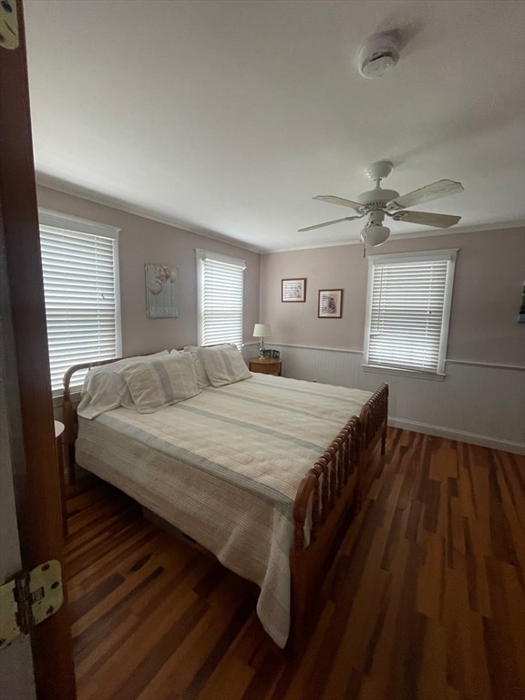 Photo - 29 Hawthorne St